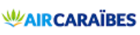 airline logotype