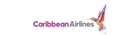airline logotype